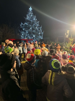 ČEZ rozsvítí rekordních 374 stromečků v obcích po celé ČR.