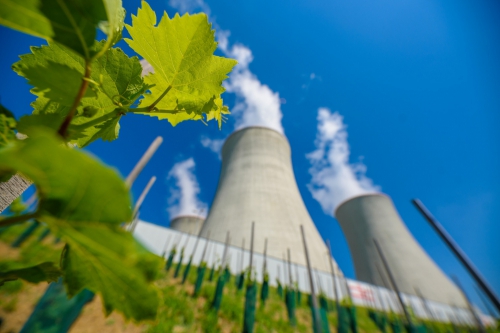 U Jaderné elektrárny Dukovany roste největší jaderná vinice