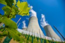 U Jaderné elektrárny Dukovany roste největší jaderná vinice